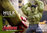 Hulk - Deluxe Set, Avengers - Age of Ultron, 1/6 Collectible