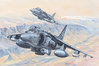 AV-8B Harrier II Marines "Ace of Spades 01" or "Avengers 05", 1/18 scale Kit