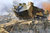 Saint-Chamond, Fr. Schwerer Panzer, früher Version, 1/35 Plastikbausatz